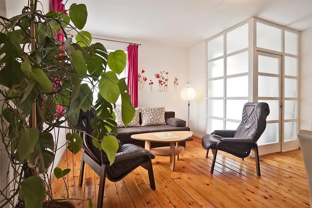Apartments Vladimir Rovinj 0*,
