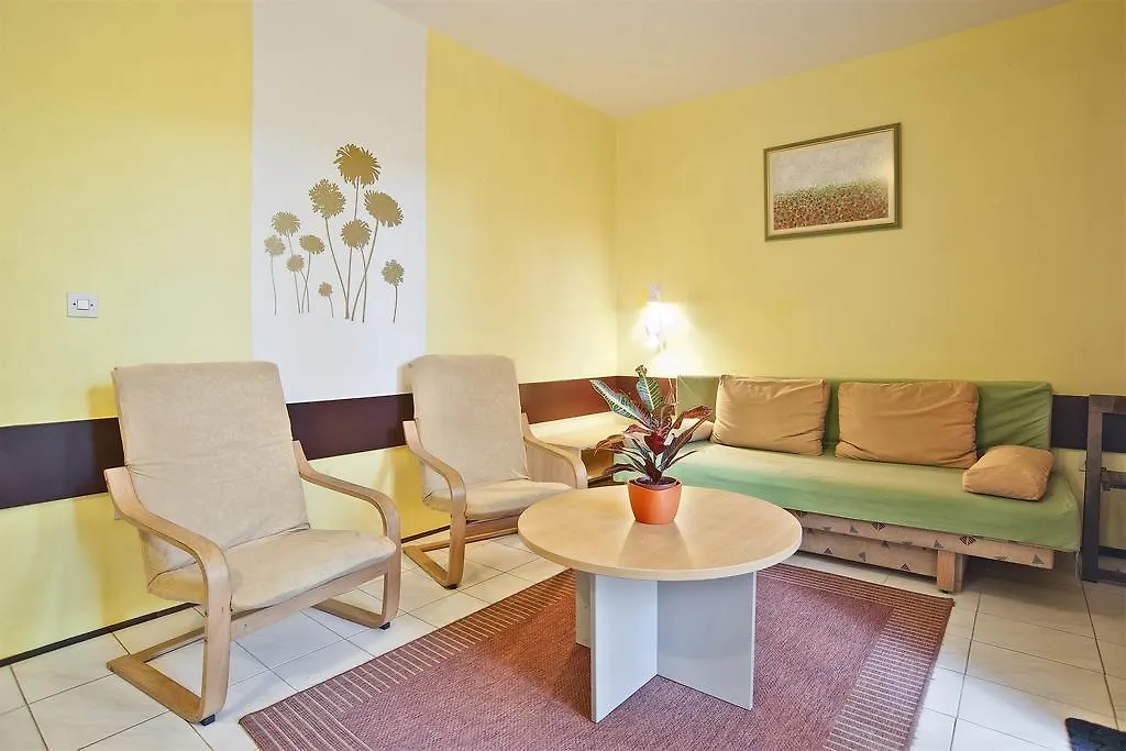 Apartments Vladimir Rovinj
